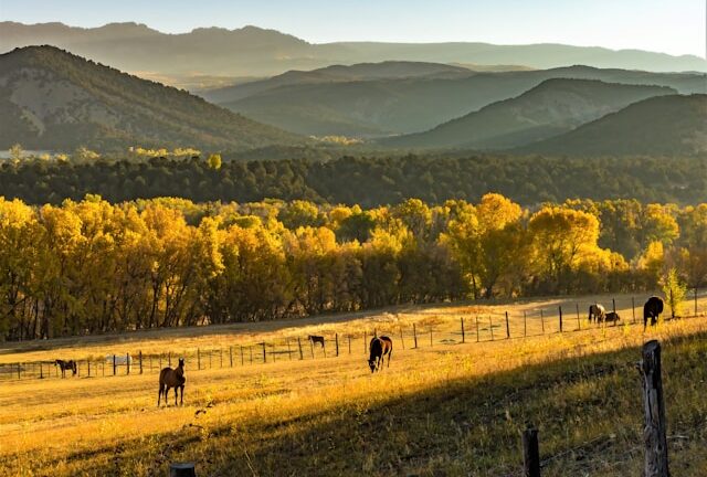 Protecting Your Livelihood: The Essentials of Ranch Insurance