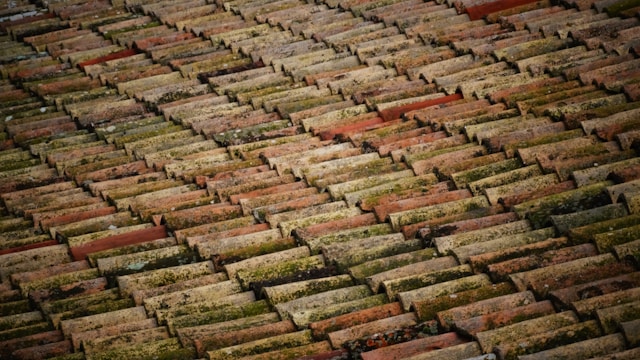 Enhancing Your Home’s Durability with Effective Roof Maintenance